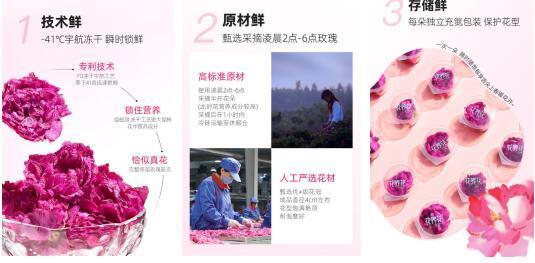 花养花：女王挚爱，为美加冕——3.8节济南“妆”点你的美专场促消费活动专栏