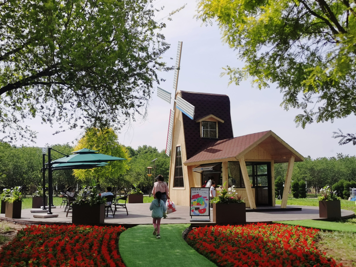 新晋打卡地！济南鲜花港万平花海美到炸