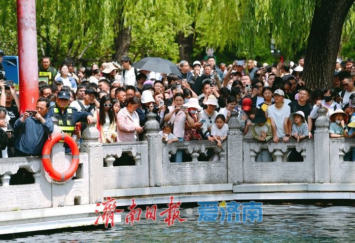 “泉”在济南，乐享“五一”