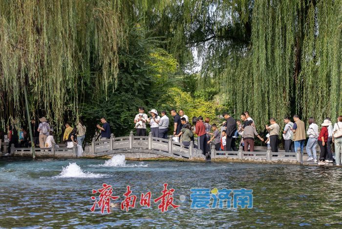 这个国庆，在“家家泉水”间品读泉城烟火