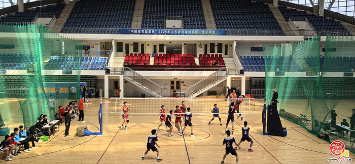 济南男排甲组勇夺2025年山东省排球锦标赛冠军  体教融合再结硕果