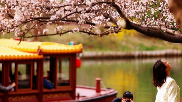 明湖春色|泉城最美四月天