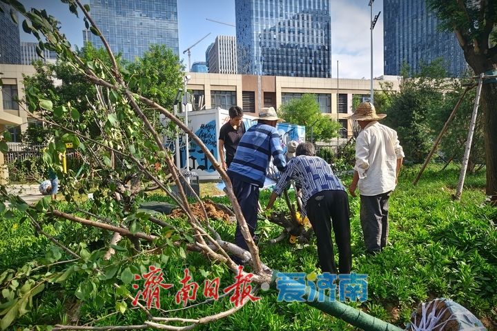 西城再添都市活力公园 市民畅享休闲运动时光