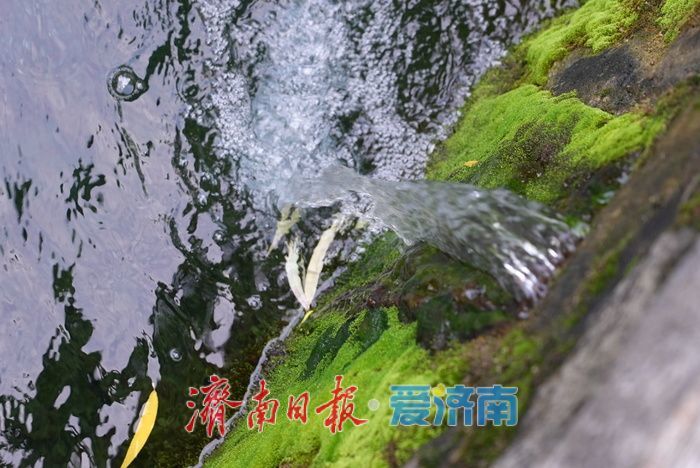 水位升高 黑虎泉池壁上再现新“喷口”