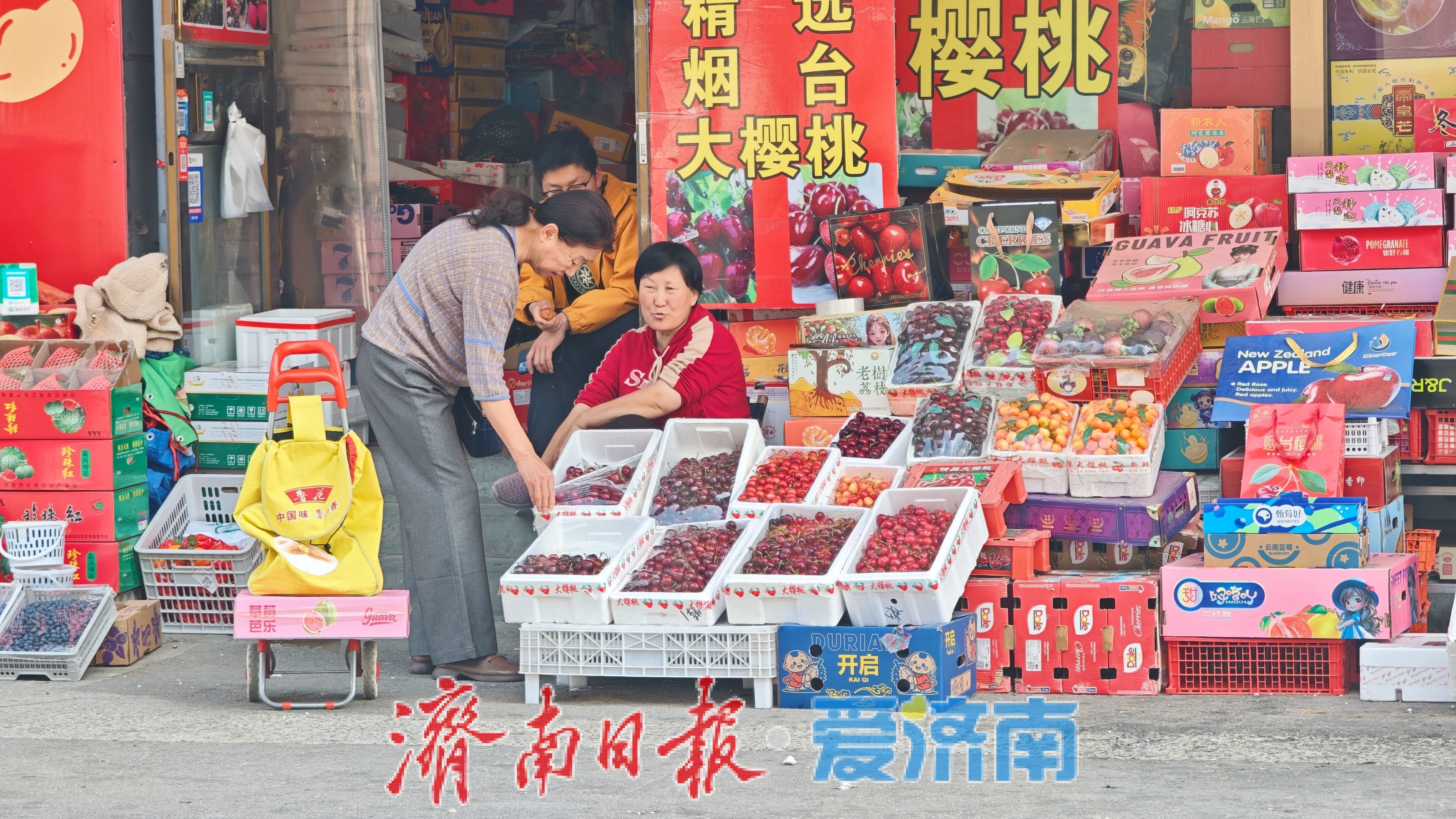 烟台美早樱桃批量上市，济南堤口果品批发市场春果供应进入旺季