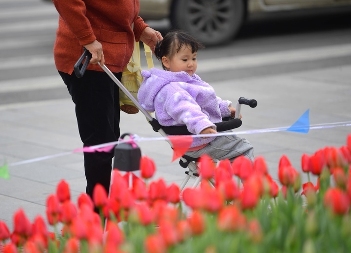 春花烂漫时，“郁”见你真好