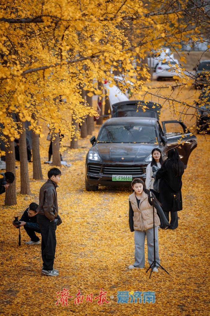 济南黄河南岸初冬：生态韵致绵长，冬景诗意斐然