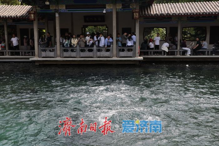 假期尾声 趵突泉清晨景致引游人打卡