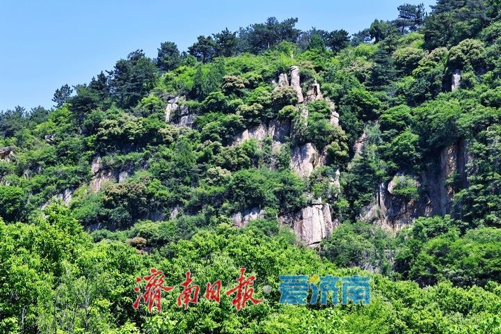 草木葱茏满目新 邂逅山野好风光