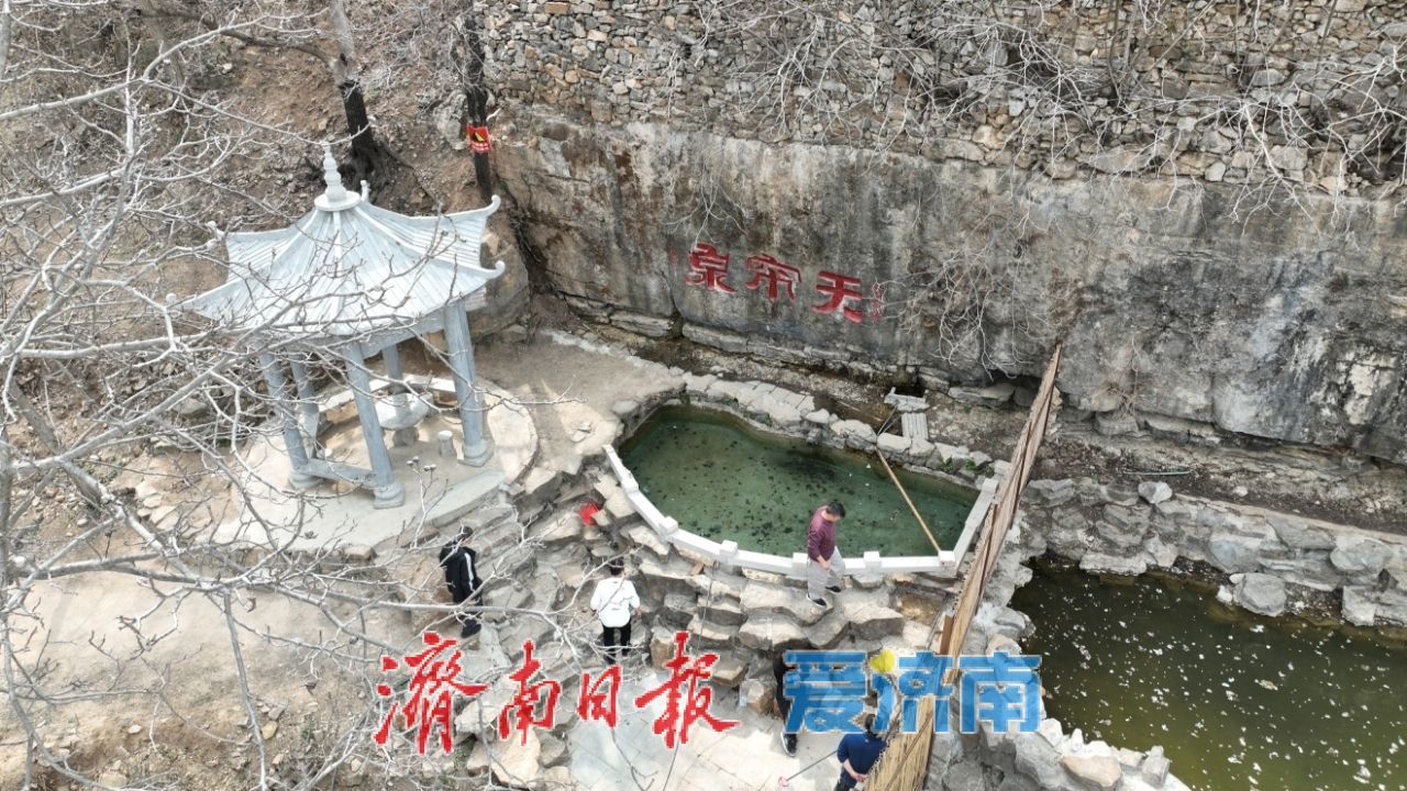 南部山区花开了，你来玩吗？高而旅游“一张图”上线，杏花连翘引领春日乡村游热潮