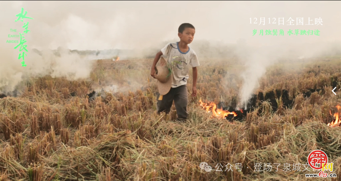 全国公映！“海右计划”宣传文化领军人才于晓风参创、山东大学联合出品的首部院线电影激情上线