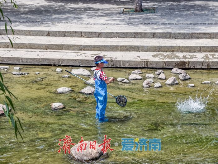 一年四季 泉在济南｜水清岸绿展新颜，生态蝶变惠民生