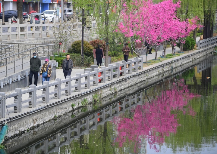 春色美如画，济南百年工商河开启“美颜”模式