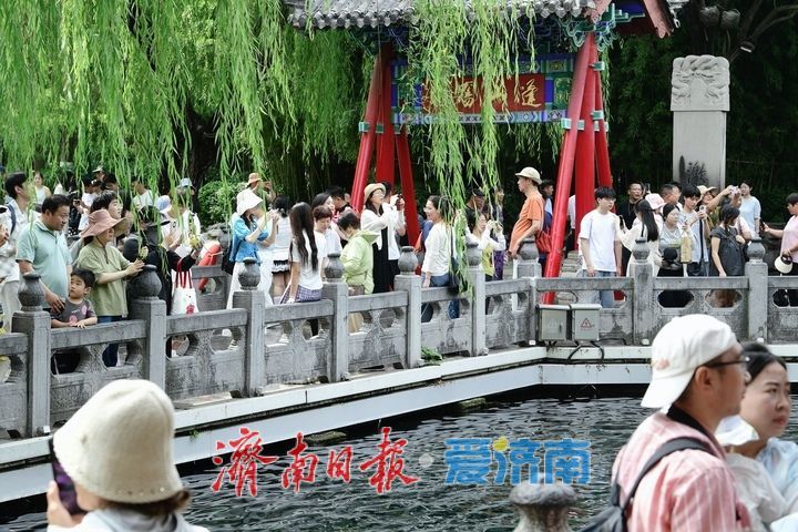 “毕业季”牵手端午假期，济南暑期“泉水游”提前迎来高峰期