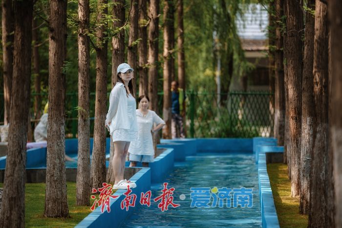 一年四季 泉在济南丨鲜花港杉林水乐园、杉水间营地开业,解锁夏日清凉潮玩法