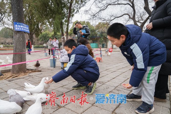 抓住假期的尾巴，寓教于乐欢度寒假