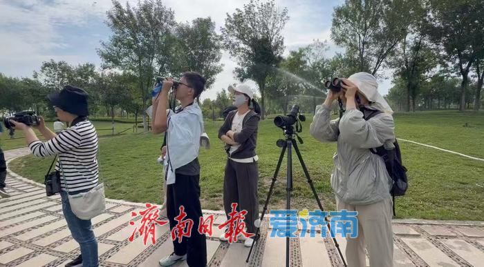 观鸟志愿行遇惊喜，珍稀鸟类棉凫现身华山湖