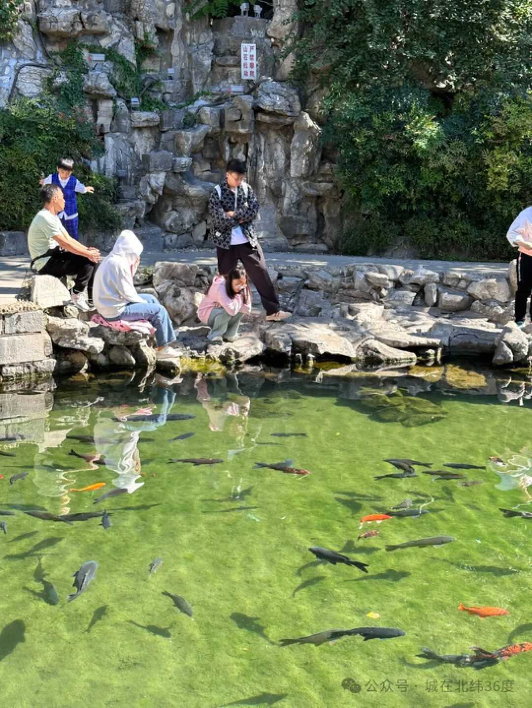 “泉”在济南享金秋｜济南明府城“上新”，遇见多重惊喜……