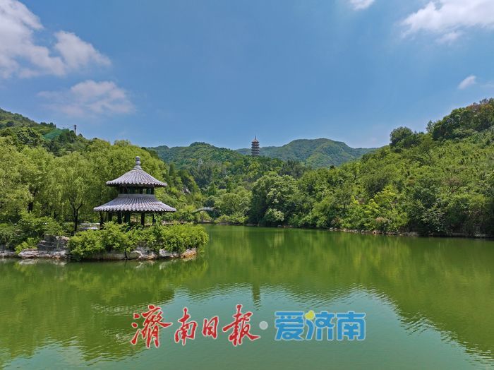 藏翠群山纳清凉！ 红叶谷打造夏日露营新体验