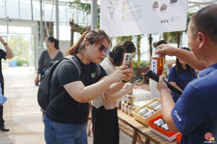 昔日荒山变身“百草园” 扁鹊故里崛起中医药产业融合园区