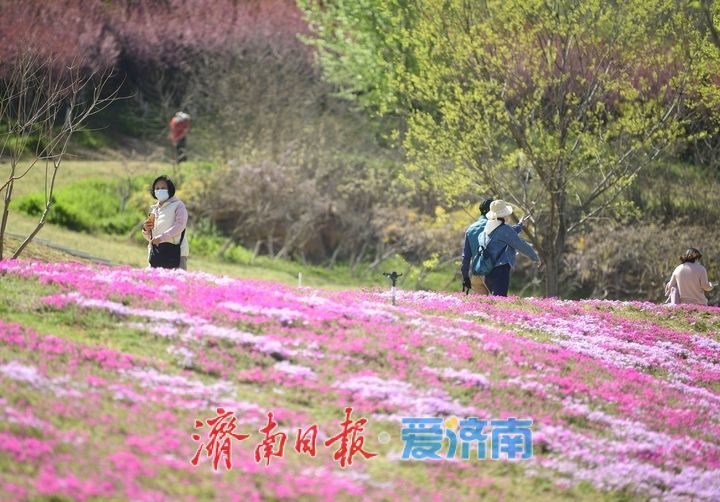 假期最后一天，济南这些地方不要错过！