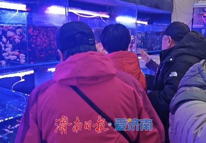 年宵花、观赏鱼销售升温 济南花鸟市场迎来节前采购“热”