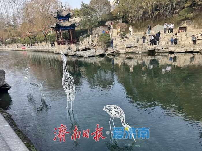 一年四季 泉在济南丨鹭舞清泉 景入画境 济南护城河畔添新景