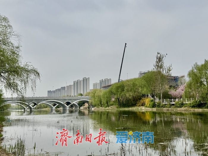 一年四季 泉在济南丨柳绿桃红映清波！小清河上游绘就春日风景画