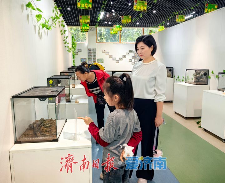 “游览”到“体验”，在假期遇到济南园林的惊喜