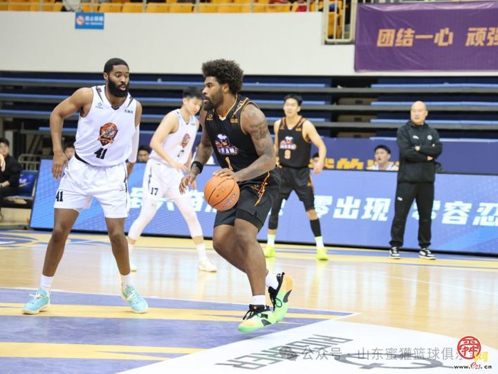 马年主场开门红！山东蜜獾力克石家庄翔蓝，豪取新春首胜！