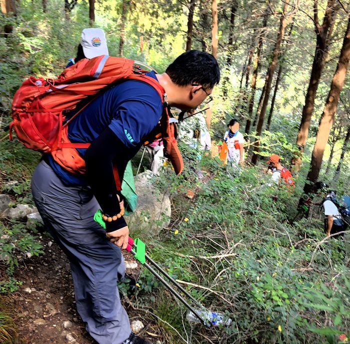 走“净”黑峪林场  履“植”不止种树   2026济南暑期“互联网+全民义务植树”尽责活动举行