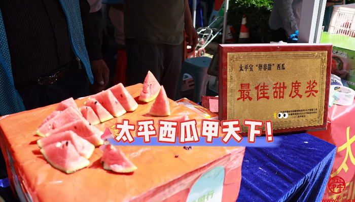 尝第一口鲜甜!济南仁风、太平宝西瓜领衔泉水人家“西瓜宴”