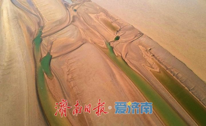 黄河浅滩河水碧绿 似翡翠镶嵌大地