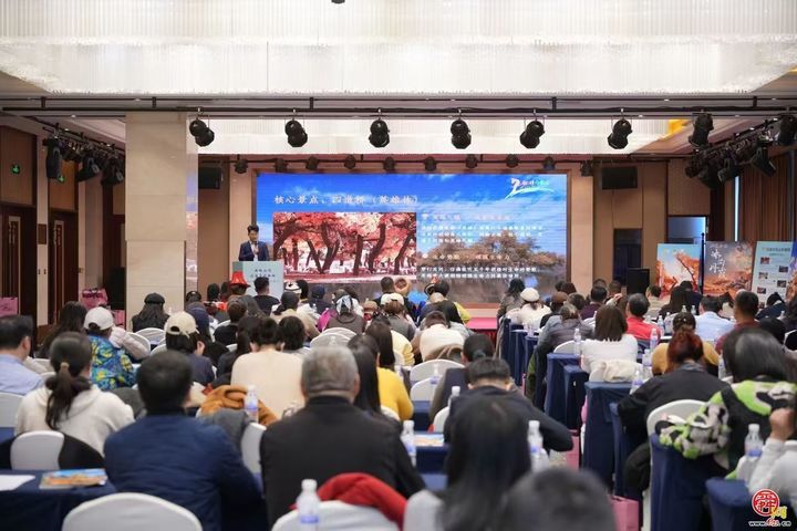 三千年胡杨赴岛城之约 额济纳旅游推介会青岛启幕，淡季政策成岛城关注焦点