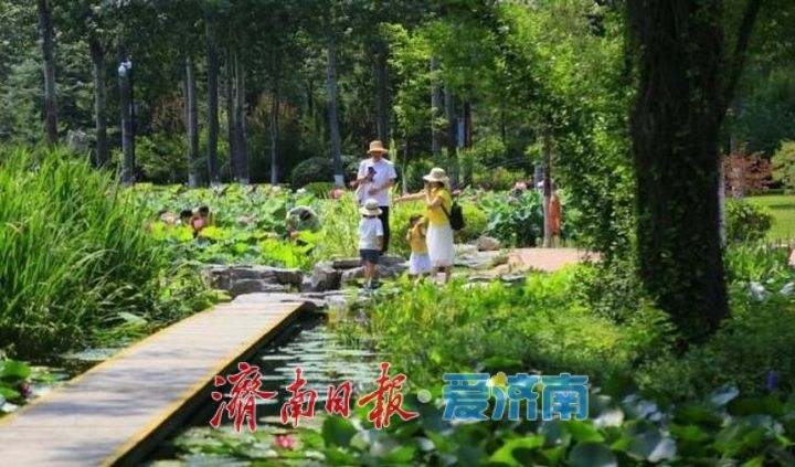 一年四季·泉在济南 