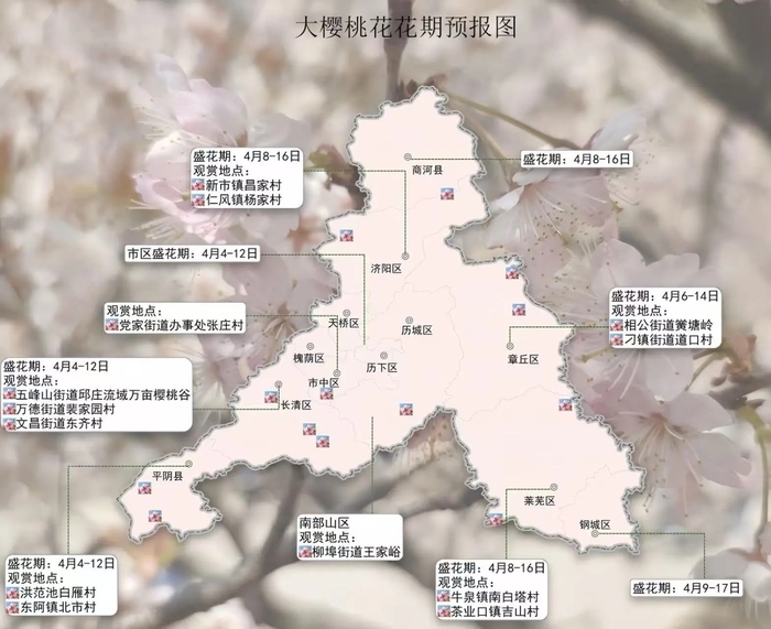 攻略速存→济南春日赏花地图更新！桃花樱花梨花花期来了