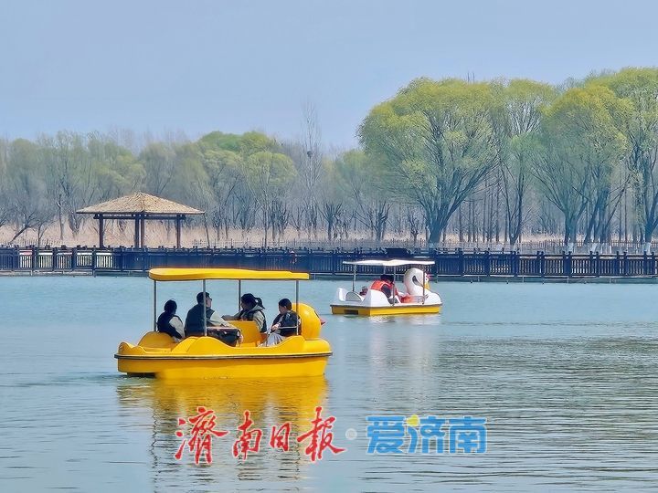 一年四季 泉在济南丨济西湿地泛舟尽享春日生态之美