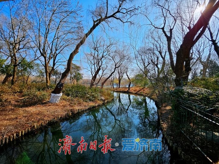 一年四季 泉在济南丨早春踏青正当时