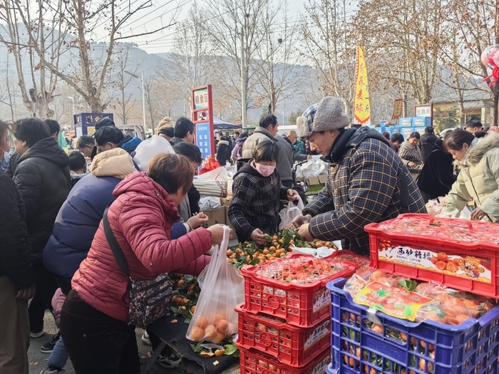 “泉”在济南过大年｜赶年集、备年货，黄河大集年味浓