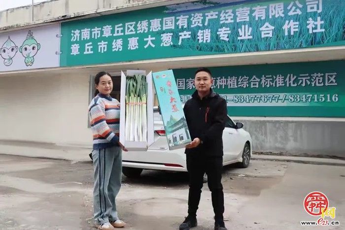 立冬收葱忙！绣惠女郎山葱香满田垄