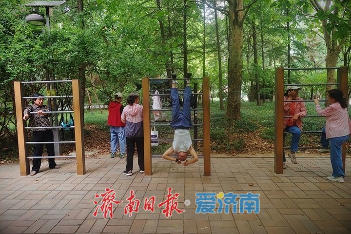 一年四季 泉在济南丨乐享秋日好时光 林间健身展活力