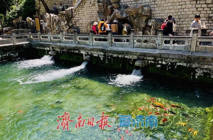 一年四季 泉在济南｜雨后黑虎泉：蓝天映碧水 虎啸愈欢腾