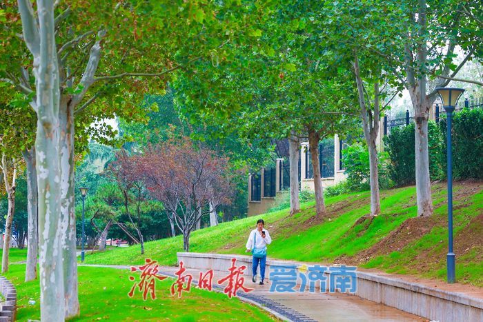 一年四季 泉在济南丨经十路奥体中路街角花园雨后焕新颜