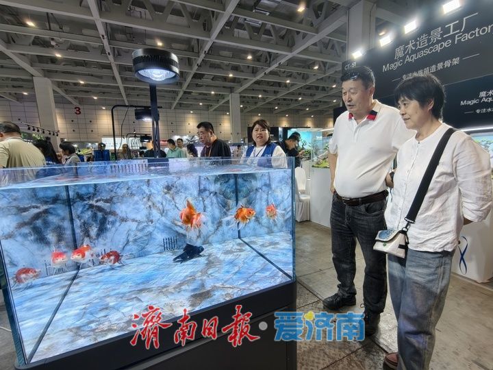 第十三届山东国际水族用品展览会火热启幕