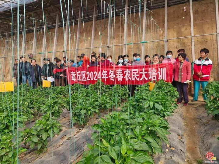 章丘区：开展专家服务活动 发展特色农业 助力乡村振兴发展