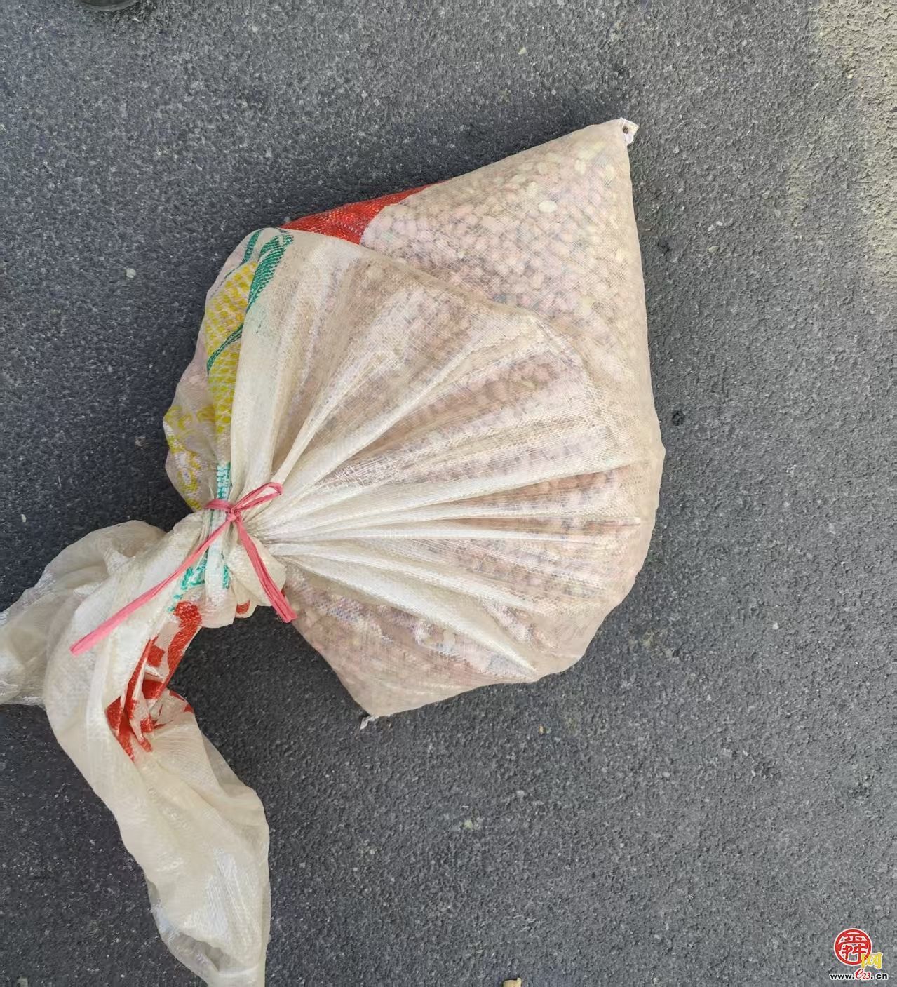 国庆我在岗 