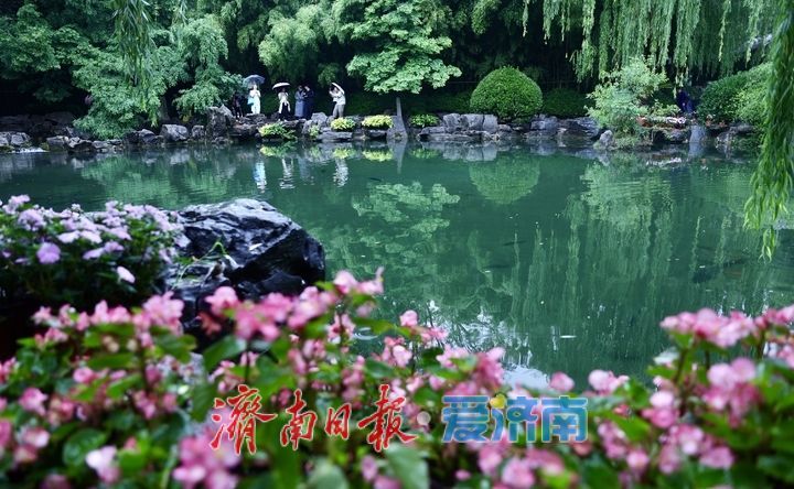 一年四季 泉在济南｜烟雨入泉城 “泉水游”热度不减