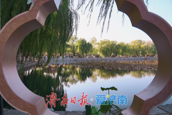 一年四季 泉在济南｜初冬百花洲 古韵惹人醉