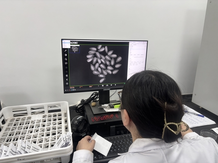 山东普查发现珍稀濒危植物137种，野大豆等跻身国家二级保护植物