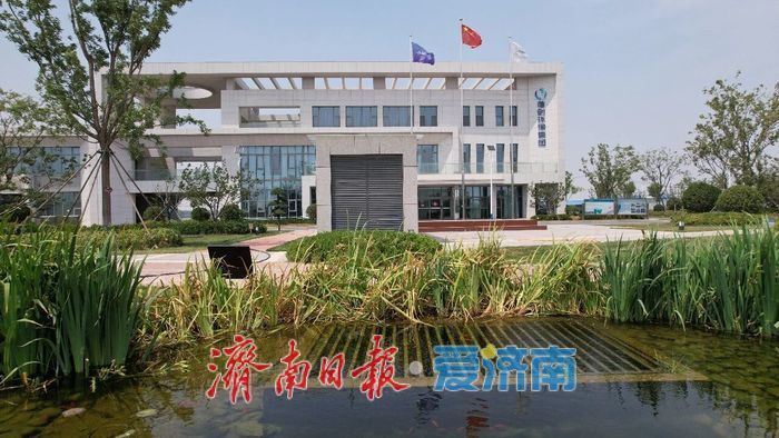 污水厂“喝”上了豆浆？记者探访：“废水”这样变“活水”